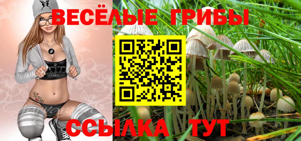 Псилоцибиновые грибы Psilocybine cubensis Отрадный