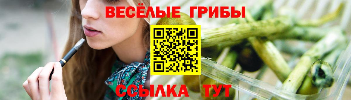 Отрадный  Псилоцибиновые грибы мицелий  как найти закладки  Вход с VPN 